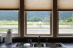 View from sink